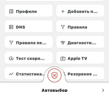 Красная кнопка подключения в нижней части Karing